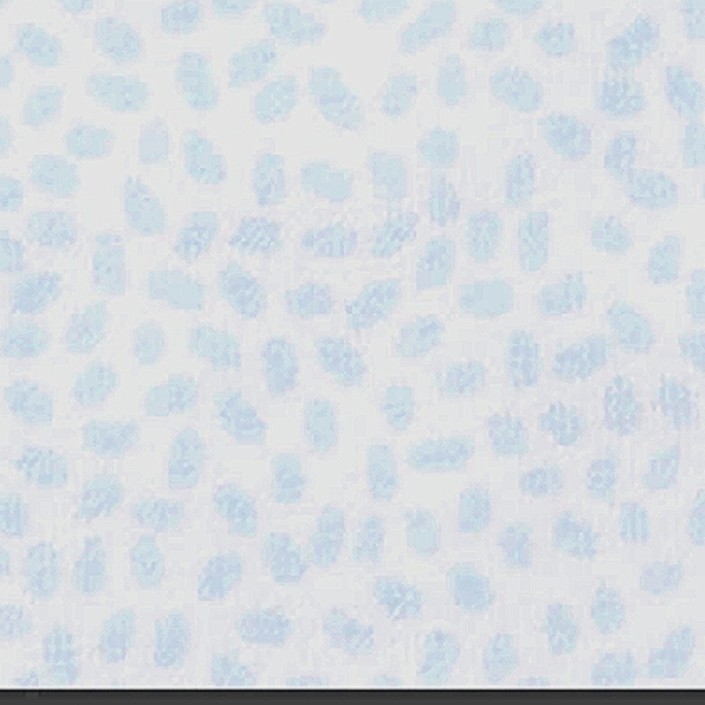 Blue velvet bath towels